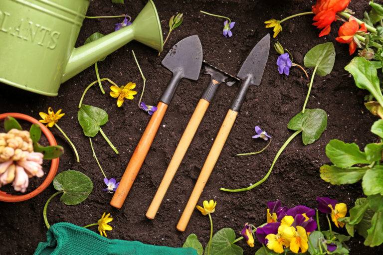 desherbage outils jardinage